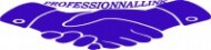 logo professionnallink info